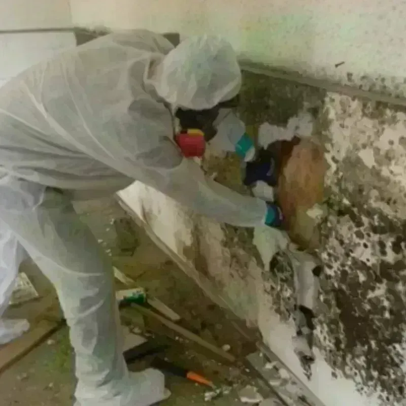 Mold Remediation and Removal in Yancey County, NC